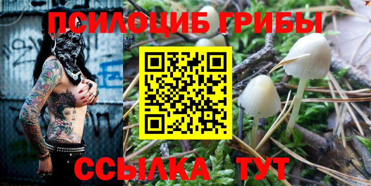 Галлюциногенные грибы прущие грибы Усть-Илимск