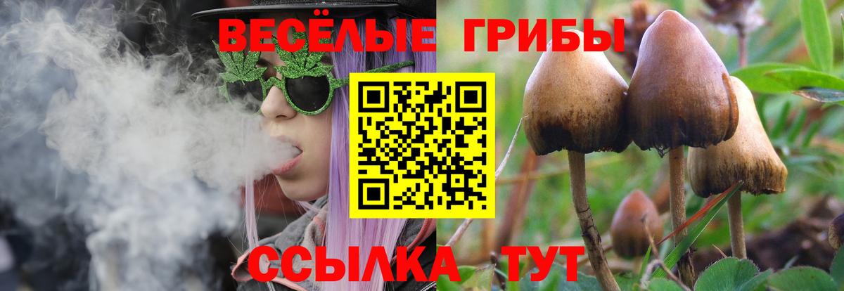 Усть-Илимск  Псилоцибиновые грибы Magic Shrooms  Псилоцибиновые грибы Psilocybe  Вход с VPN 